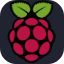 Raspberry Pi logo